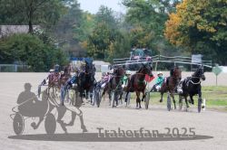 Dateiname=20251009_r02_098_R02_0349.jpg
Dateigröße=330KB
Abmessungen: 1000x667
hinzugefügt am: 09. Oktober 2025 20251009_r02_098_R02_0349.jpg