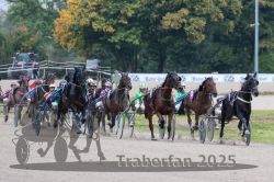 Dateiname=20251009_r02_099_R02_0353.jpg
Dateigröße=337KB
Abmessungen: 1000x667
hinzugefügt am: 09. Oktober 2025 20251009_r02_099_R02_0353.jpg