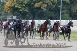 Dateiname=20251009_r02_100_R02_0358.jpg
Dateigröße=319KB
Abmessungen: 1000x667
hinzugefügt am: 09. Oktober 2025 20251009_r02_100_R02_0358.jpg