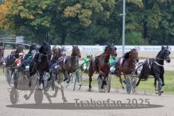 Dateiname=20251009_r02_101_R02_0361.jpg
Dateigröße=332KB
Abmessungen: 1000x667
hinzugefügt am: 09. Oktober 2025 20251009_r02_101_R02_0361.jpg