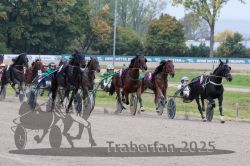 Dateiname=20251009_r02_104_R02_0373.jpg
Dateigröße=337KB
Abmessungen: 1000x667
hinzugefügt am: 09. Oktober 2025 20251009_r02_104_R02_0373.jpg