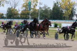 Dateiname=20251009_r02_105_R02_0381.jpg
Dateigröße=375KB
Abmessungen: 1000x667
hinzugefügt am: 09. Oktober 2025 20251009_r02_105_R02_0381.jpg