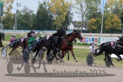 Dateiname=20251009_r02_106_R02_0387.jpg
Dateigröße=356KB
Abmessungen: 1000x667
hinzugefügt am: 09. Oktober 2025 20251009_r02_106_R02_0387.jpg