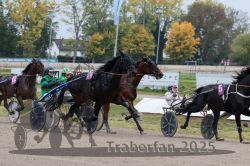 Dateiname=20251009_r02_107_R02_0391.jpg
Dateigröße=336KB
Abmessungen: 1000x667
hinzugefügt am: 09. Oktober 2025 20251009_r02_107_R02_0391.jpg