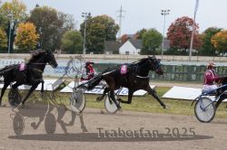 Dateiname=20251009_r02_108_R02_0396.jpg
Dateigröße=318KB
Abmessungen: 1000x667
hinzugefügt am: 09. Oktober 2025 20251009_r02_108_R02_0396.jpg