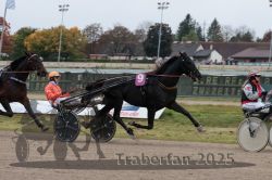 Dateiname=20251009_r02_109_R02_0403.jpg
Dateigröße=272KB
Abmessungen: 1000x667
hinzugefügt am: 09. Oktober 2025 20251009_r02_109_R02_0403.jpg