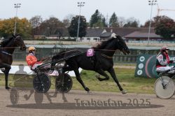 Dateiname=20251009_r02_110_R02_0404.jpg
Dateigröße=265KB
Abmessungen: 1000x667
hinzugefügt am: 09. Oktober 2025 20251009_r02_110_R02_0404.jpg