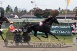 Dateiname=20251009_r02_111_R02_0407.jpg
Dateigröße=283KB
Abmessungen: 1000x667
hinzugefügt am: 09. Oktober 2025 20251009_r02_111_R02_0407.jpg