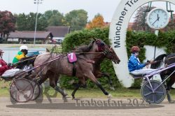 Dateiname=20251009_r02_112_R02_0411.jpg
Dateigröße=319KB
Abmessungen: 1000x667
hinzugefügt am: 09. Oktober 2025 20251009_r02_112_R02_0411.jpg