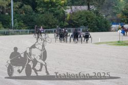 Dateiname=20251009_r02_114_R02_0417.jpg
Dateigröße=293KB
Abmessungen: 1000x667
hinzugefügt am: 09. Oktober 2025 20251009_r02_114_R02_0417.jpg