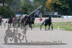 Dateiname=20251009_r02_120_R02_0449.jpg
Dateigröße=297KB
Abmessungen: 1000x667
hinzugefügt am: 09. Oktober 2025 20251009_r02_120_R02_0449.jpg