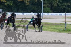 Dateiname=20251009_r02_122_R02_0462.jpg
Dateigröße=275KB
Abmessungen: 1000x667
hinzugefügt am: 09. Oktober 2025 20251009_r02_122_R02_0462.jpg