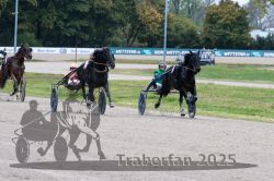 Dateiname=20251009_r02_125_R02_0471.jpg
Dateigröße=314KB
Abmessungen: 1000x667
hinzugefügt am: 09. Oktober 2025 20251009_r02_125_R02_0471.jpg