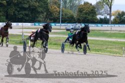 Dateiname=20251009_r02_126_R02_0474.jpg
Dateigröße=325KB
Abmessungen: 1000x667
hinzugefügt am: 09. Oktober 2025 20251009_r02_126_R02_0474.jpg