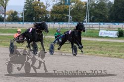 Dateiname=20251009_r02_128_R02_0482.jpg
Dateigröße=324KB
Abmessungen: 1000x667
hinzugefügt am: 09. Oktober 2025 20251009_r02_128_R02_0482.jpg