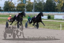 Dateiname=20251009_r02_129_R02_0485.jpg
Dateigröße=314KB
Abmessungen: 1000x667
hinzugefügt am: 09. Oktober 2025 20251009_r02_129_R02_0485.jpg