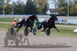 Dateiname=20251009_r02_131_R02_0492.jpg
Dateigröße=349KB
Abmessungen: 1000x667
hinzugefügt am: 09. Oktober 2025 20251009_r02_131_R02_0492.jpg