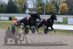 Dateiname=20251009_r02_133_R02_0496.jpg
Dateigröße=316KB
Abmessungen: 1000x667
hinzugefügt am: 09. Oktober 2025 20251009_r02_133_R02_0496.jpg