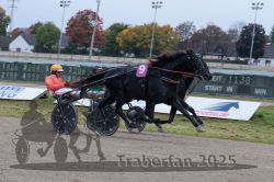 Dateiname=20251009_r02_137_R02_0505.jpg
Dateigröße=279KB
Abmessungen: 1000x667
hinzugefügt am: 09. Oktober 2025 20251009_r02_137_R02_0505.jpg