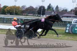 Dateiname=20251009_r02_138_R02_0508.jpg
Dateigröße=267KB
Abmessungen: 1000x667
hinzugefügt am: 09. Oktober 2025 20251009_r02_138_R02_0508.jpg