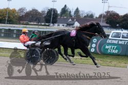 Dateiname=20251009_r02_139_R02_0509.jpg
Dateigröße=266KB
Abmessungen: 1000x667
hinzugefügt am: 09. Oktober 2025 20251009_r02_139_R02_0509.jpg