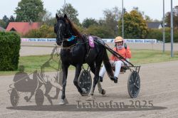 Dateiname=20251009_r02_171_R02_0632.jpg
Dateigröße=307KB
Abmessungen: 1000x667
hinzugefügt am: 09. Oktober 2025 20251009_r02_171_R02_0632.jpg