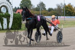 Dateiname=20251009_r02_173_R02_0637.jpg
Dateigröße=288KB
Abmessungen: 1000x667
hinzugefügt am: 09. Oktober 2025 20251009_r02_173_R02_0637.jpg