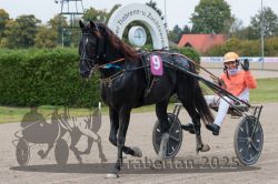 Dateiname=20251009_r02_177_R02_0646.jpg
Dateigröße=315KB
Abmessungen: 1000x667
hinzugefügt am: 09. Oktober 2025 20251009_r02_177_R02_0646.jpg