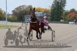 Dateiname=20251009_r03_001_R03_0006.jpg
Dateigröße=305KB
Abmessungen: 1000x667
hinzugefügt am: 09. Oktober 2025 20251009_r03_001_R03_0006.jpg