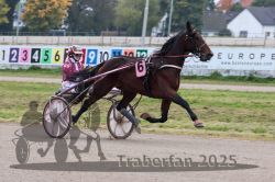 Dateiname=20251009_r03_013_R03_0075.jpg
Dateigröße=289KB
Abmessungen: 1000x667
hinzugefügt am: 09. Oktober 2025 20251009_r03_013_R03_0075.jpg