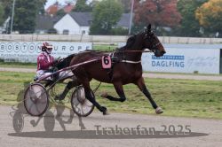 Dateiname=20251009_r03_014_R03_0079.jpg
Dateigröße=272KB
Abmessungen: 1000x667
hinzugefügt am: 09. Oktober 2025 20251009_r03_014_R03_0079.jpg