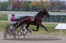 Dateiname=20251009_r03_015_R03_0082.jpg
Dateigröße=264KB
Abmessungen: 1000x667
hinzugefügt am: 09. Oktober 2025 20251009_r03_015_R03_0082.jpg