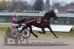 Dateiname=20251009_r03_016_R03_0086.jpg
Dateigröße=269KB
Abmessungen: 1000x667
hinzugefügt am: 09. Oktober 2025 20251009_r03_016_R03_0086.jpg