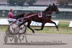 Dateiname=20251009_r03_018_R03_0092.jpg
Dateigröße=253KB
Abmessungen: 1000x667
hinzugefügt am: 09. Oktober 2025 20251009_r03_018_R03_0092.jpg