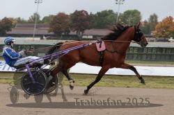 Dateiname=20251009_r03_024_R03_0111.jpg
Dateigröße=257KB
Abmessungen: 1000x667
hinzugefügt am: 09. Oktober 2025 20251009_r03_024_R03_0111.jpg