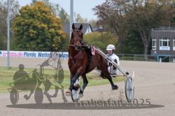 Dateiname=20251009_r03_027_R03_0118.jpg
Dateigröße=285KB
Abmessungen: 1000x667
hinzugefügt am: 09. Oktober 2025 20251009_r03_027_R03_0118.jpg