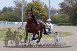 Dateiname=20251009_r03_029_R03_0122.jpg
Dateigröße=285KB
Abmessungen: 1000x667
hinzugefügt am: 09. Oktober 2025 20251009_r03_029_R03_0122.jpg