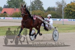 Dateiname=20251009_r03_032_R03_0129.jpg
Dateigröße=284KB
Abmessungen: 1000x667
hinzugefügt am: 09. Oktober 2025 20251009_r03_032_R03_0129.jpg