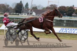 Dateiname=20251009_r03_033_R03_0131.jpg
Dateigröße=272KB
Abmessungen: 1000x667
hinzugefügt am: 09. Oktober 2025 20251009_r03_033_R03_0131.jpg