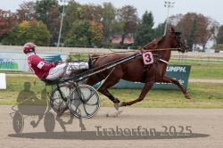 Dateiname=20251009_r03_037_R03_0143.jpg
Dateigröße=288KB
Abmessungen: 1000x667
hinzugefügt am: 09. Oktober 2025 20251009_r03_037_R03_0143.jpg