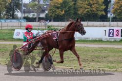 Dateiname=20251009_r03_039_R03_0152.jpg
Dateigröße=308KB
Abmessungen: 1000x667
hinzugefügt am: 09. Oktober 2025 20251009_r03_039_R03_0152.jpg