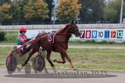 Dateiname=20251009_r03_040_R03_0156.jpg
Dateigröße=298KB
Abmessungen: 1000x667
hinzugefügt am: 09. Oktober 2025 20251009_r03_040_R03_0156.jpg