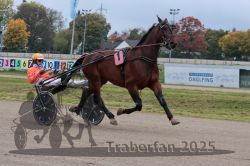 Dateiname=20251009_r03_043_R03_0170.jpg
Dateigröße=297KB
Abmessungen: 1000x667
hinzugefügt am: 09. Oktober 2025 20251009_r03_043_R03_0170.jpg