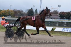 Dateiname=20251009_r03_045_R03_0178.jpg
Dateigröße=269KB
Abmessungen: 1000x667
hinzugefügt am: 09. Oktober 2025 20251009_r03_045_R03_0178.jpg