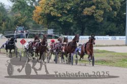 Dateiname=20251009_r03_061_R03_0235.jpg
Dateigröße=321KB
Abmessungen: 1000x667
hinzugefügt am: 09. Oktober 2025 20251009_r03_061_R03_0235.jpg