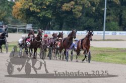 Dateiname=20251009_r03_063_R03_0242.jpg
Dateigröße=288KB
Abmessungen: 1000x667
hinzugefügt am: 09. Oktober 2025 20251009_r03_063_R03_0242.jpg