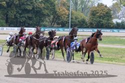 Dateiname=20251009_r03_064_R03_0247.jpg
Dateigröße=352KB
Abmessungen: 1000x667
hinzugefügt am: 09. Oktober 2025 20251009_r03_064_R03_0247.jpg