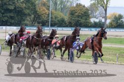 Dateiname=20251009_r03_065_R03_0252.jpg
Dateigröße=339KB
Abmessungen: 1000x667
hinzugefügt am: 09. Oktober 2025 20251009_r03_065_R03_0252.jpg