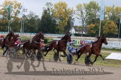 Dateiname=20251009_r03_070_R03_0268.jpg
Dateigröße=391KB
Abmessungen: 1000x667
hinzugefügt am: 09. Oktober 2025 20251009_r03_070_R03_0268.jpg