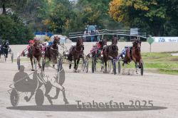 Dateiname=20251009_r03_082_R03_0316.jpg
Dateigröße=323KB
Abmessungen: 1000x667
hinzugefügt am: 09. Oktober 2025 20251009_r03_082_R03_0316.jpg